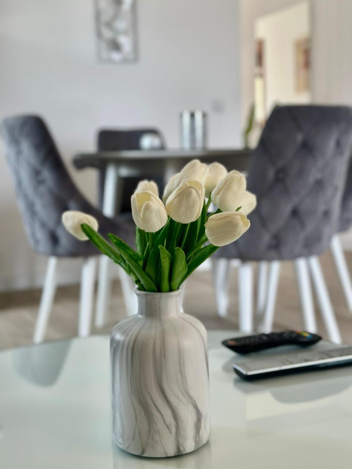 Apartments Teodo Dış mekan fotoğraf